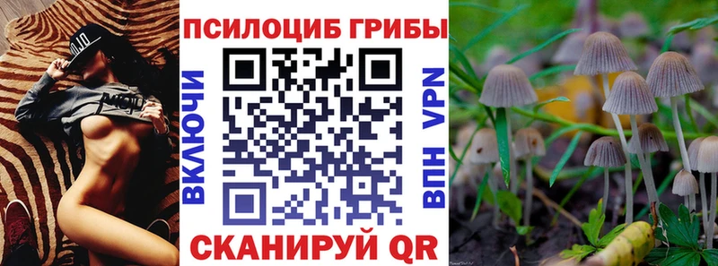Псилоцибиновые грибы Psilocybine cubensis  Купить где  Аткарск 